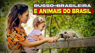 Divertido e assustador A pequena russobrasileira está conhecendo os animais selvagens do Brasil [upl. by Nwahs]