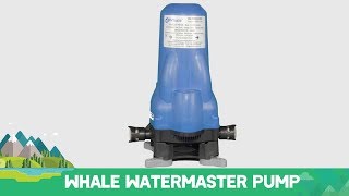 Whale WaterMaster Pump [upl. by Eremaj]