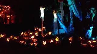 Naumkeag Pumpkin Show [upl. by Claudy115]