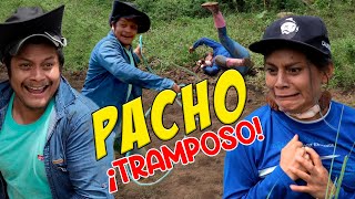 PACHO TRAMPOSO [upl. by Ches639]