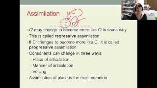 English Phonology Lecture 5 2 Aspects of connected speech [upl. by Fayth]