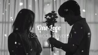 ONELOVESONG  Slowed  Reverb [upl. by Snave]