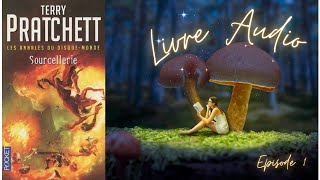 LIVRE AUDIO SENDORMIR PROFONDEMENT LES ANNALES DU DISQUEMONDE  Sourcellerie  TERRY PRATCHETT [upl. by Yesrej]