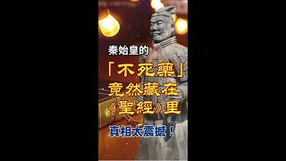 凡事謝恩  秦始皇的「不死藥」竟然藏在《聖經》里？真相太震撼！ 基督徒 基督徒信仰 十字架 神 敬拜詩歌 信仰 感謝主 人生感悟 人生 海外华人 启示录 家庭 人生 婚姻 [upl. by Yhtrod91]