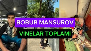 BOBUR MANSUROV  VINELAR TOPLAMI  ENG SARA VINELAR 2024 [upl. by Ettezyl627]