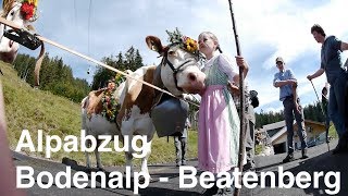 Alpabzug Bodenalp Beatenberg 2014 [upl. by Paver787]