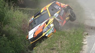 15°Rally di Alba 2021CrashBig Jump amp Mistakes [upl. by Jarv152]