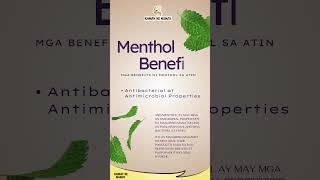 Benefits ng Menthol [upl. by Stahl474]