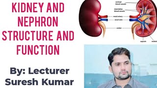 Kidney Nephron structure and function HindiUrdu By Sir Suresh Kumar [upl. by Damle250]