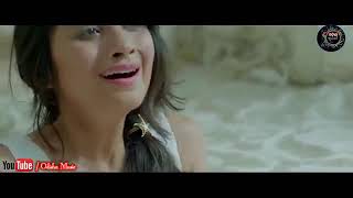 Kemiti Bhulibi Se Abhula Dina Hrudaya Hina Female Official Video Song Amrita Nayak [upl. by Anahs]