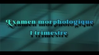 Examen morphologique 1trimestre  part 1 [upl. by Ayhtin]