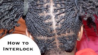 How to Interlock Dreadlocks  2pt 3pt amp 4pt Rotation Demo on Mannequin [upl. by Eirallih]