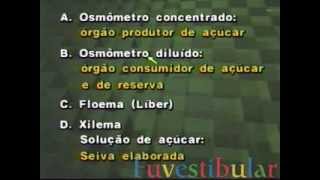 10 Tecidos Condutores Líber ou Floema  Biologia Vestibulando Digital [upl. by Sanferd929]