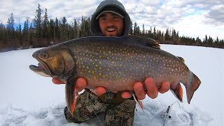 EPIC Day Ice Fishing for 3 Pound BROOK TROUT CATCH amp COOK [upl. by Piderit]