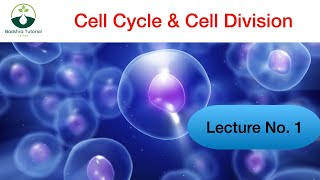 How Cells Multiply A Deep Dive into the Cell Cycle and Division [upl. by Yreffej325]