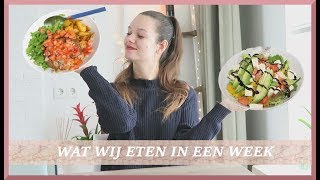 VEGAN amp VEGETARISCHE AVOND GERECHTEN  SAARTJE DE LEEUW [upl. by Eeresid508]