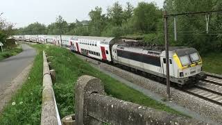 NMBS SNCB  M6 BX  HLE 18  Siemens Eurosprinter  Hennuyères  Brttrainz  L96  IC 19xx  BE [upl. by Rambert]