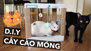 Tự làm đồ chơi cào móng cho mèo [upl. by Dalston]