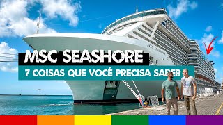 Viagem de Cruzeiro no Brasil MSC SEASHORE  7 Coisas que você Precisa Saber [upl. by Lehsreh]