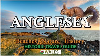 Anglesey Adventure Ancient Ruins Beaches Rare Anglesey RED SQUIRRELS  North Wales [upl. by Vullo592]