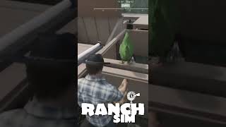 Ranch Simulator Killer CHICKEN ranchsim ranchsimulator [upl. by Neffets689]