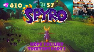 Hope you like Treetops Spyro 1 Reignited Remaster Playthrough PT2 [upl. by Aivataj]