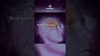 What are Brainwaves [upl. by Rossie]