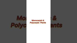 Monocarpic and polycarpic plants [upl. by Talley]