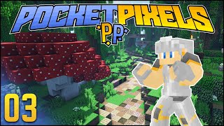 Hidden Ability Hunting amp Poison Gym  Minecraft Pixelmon  Ep 3 Sponsored by PocketPixels [upl. by Ahsitneuq213]