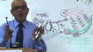 ◄╣ UG Block Lec4 DrJamal ♦ Gonads amp Genital Ducts ╠► [upl. by Halueb]