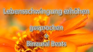 🔉 Louise Hay  Lebensschwingung erhöhen Affirmationen  gesprochen  Binaurale Beats [upl. by Seana]