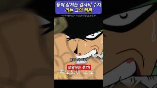 등짝 상처는 검사의 수치 라는 그의 행동 onepiece 원피스 [upl. by Agnola]