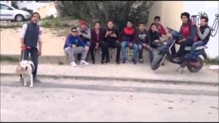 College manar 2 Clash beausite  عاصمة فيها النيكوك réponse rapide [upl. by Otipaga497]