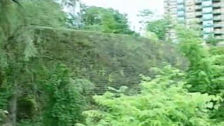 Vegetated GEOWEB® Geocell Retaining Wall [upl. by Nanny]