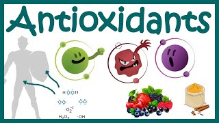 Antioxidants  What Are Antioxidants   Antioxidants Benefits  Free Radicals and ROS scavenging [upl. by Annaoj]