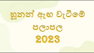 හූනන් ඇඟ වැටීමේ පලාපල 2023 [upl. by Kalmick]