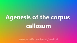 Agenesis of the corpus callosum  Medical Definition [upl. by Pernick26]