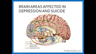 The Neurobiology of Pain Processing and Suicide A Potential Marker for Suicide Risk [upl. by Olli]