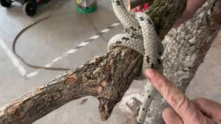 How to Tie a Clove Hitch for Limb Lowering [upl. by Ralf]