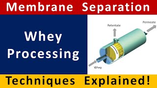 How whey protein is made  Processing methods  Membrane Filtration  Electrodialysis  Ion Exchange [upl. by Ainollopa]