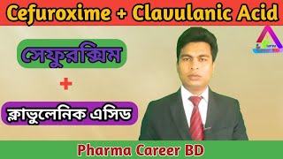 Cefuroxime  Clavulanic Acid Bangla  Cefaclav  Furoclav  Clavucef  Clavulanic Acid Bangla [upl. by Bradeord]