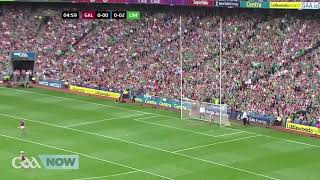 All Ireland Hurling Final 2018 Highlights Galway vs Limerick [upl. by Ardeen]