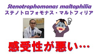 Stenotrophomonas maltophiliaの薬剤感受性を深掘りします！ [upl. by Klein]