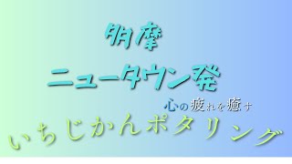 使える時間は１時間！！自転車で多摩はどこまで楽しめるのか！？【グラベルロードバイク】 [upl. by Enined]