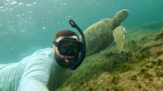 Galapagos Islands Ecuador Jordan Noel [upl. by Vanhomrigh]