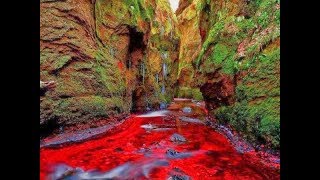 finnich glen blood river scotland [upl. by Ardnola]