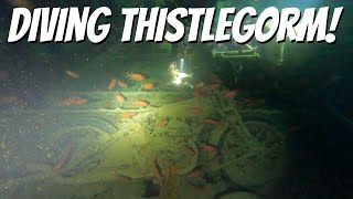 Diving Thistlegorm [upl. by Outlaw508]