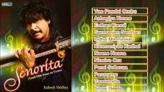 Rajhesh Vaidhya Veena  A Tribute To Isaignani Ilayaraja  Instrumental  Tamil Film Super hit Songs [upl. by Anayd279]