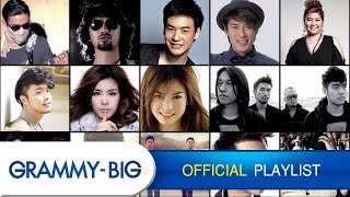 รวมเพลงฮิตฟังสบายๆ  MP3 Hits Playlist Vol4 GRAMMY BIG [upl. by Ahsoik]