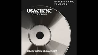 Usacheme by Nelcyb ft Dr Tawanda [upl. by Uzziel]